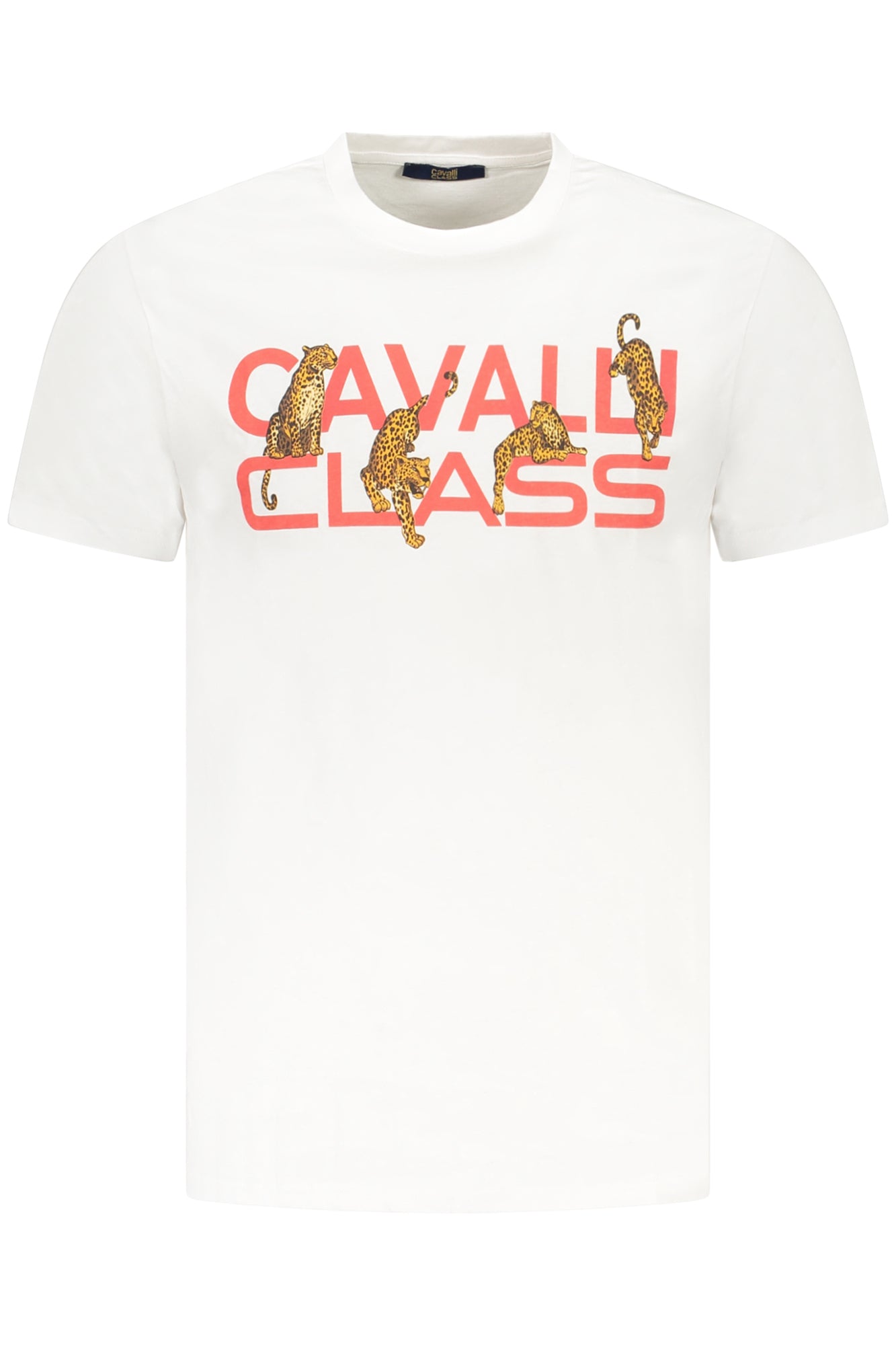 CAVALLI CLASS T-SHIRT