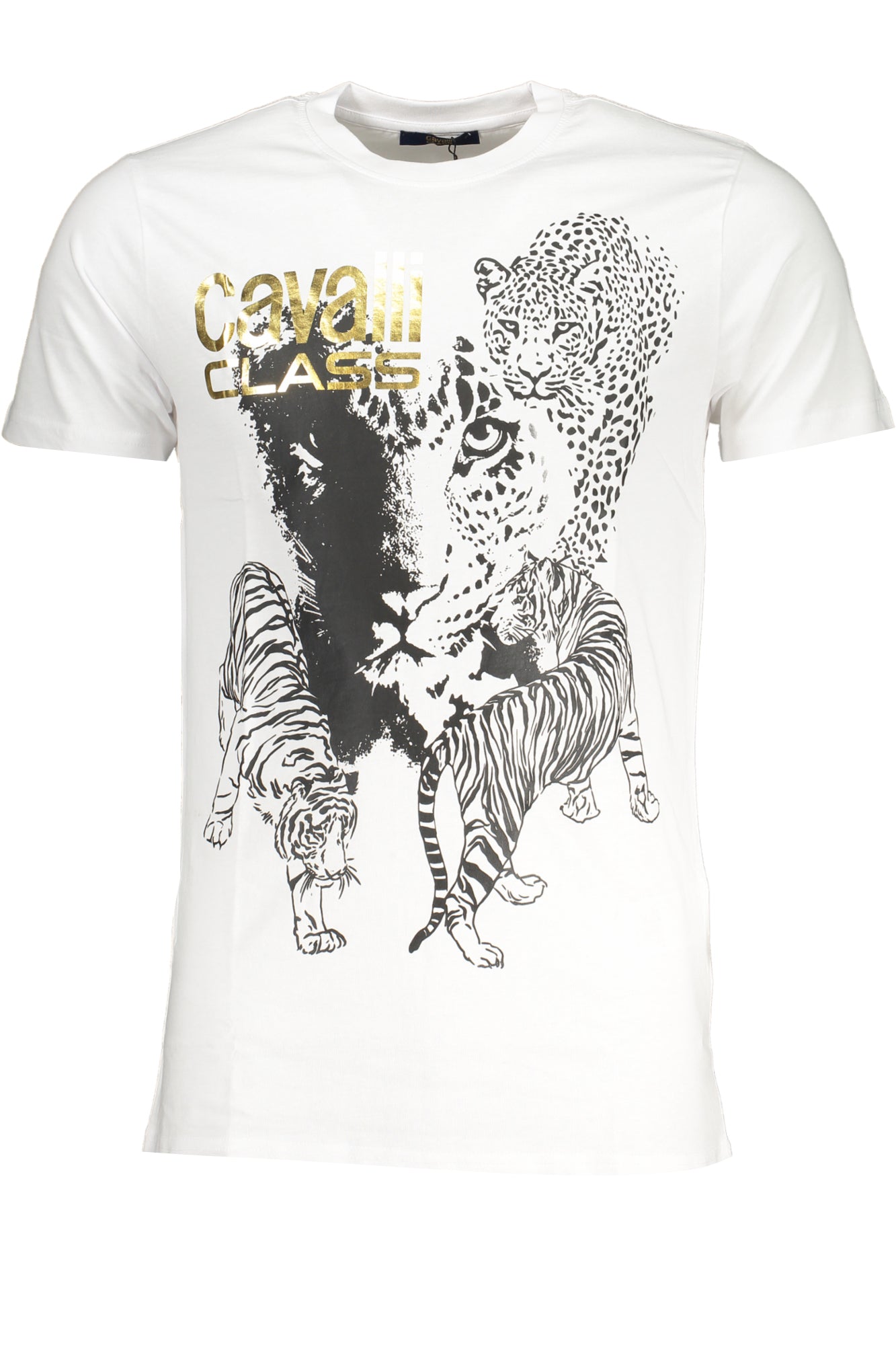 CAVALLI CLASS T-SHIRT