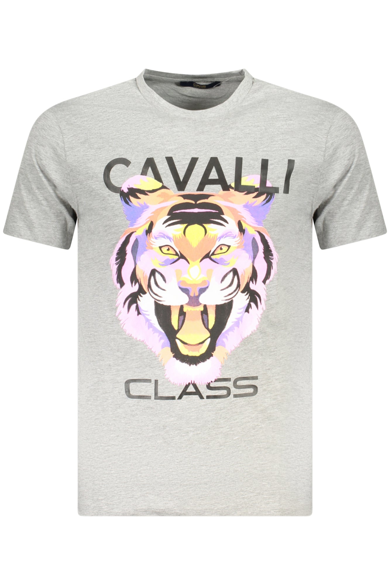 CAVALLI CLASS TXT60FJD060_GR05014 Grigio