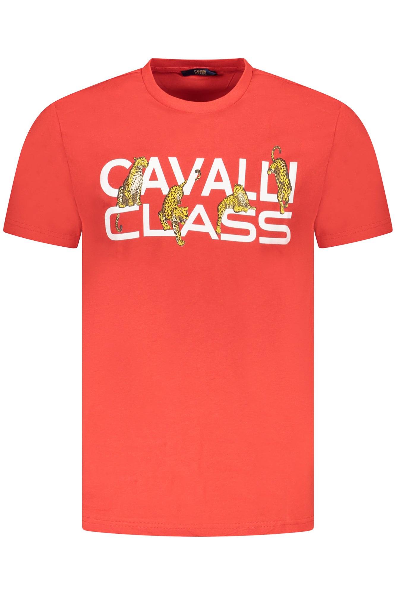 CAVALLI CLASS T-SHIRT