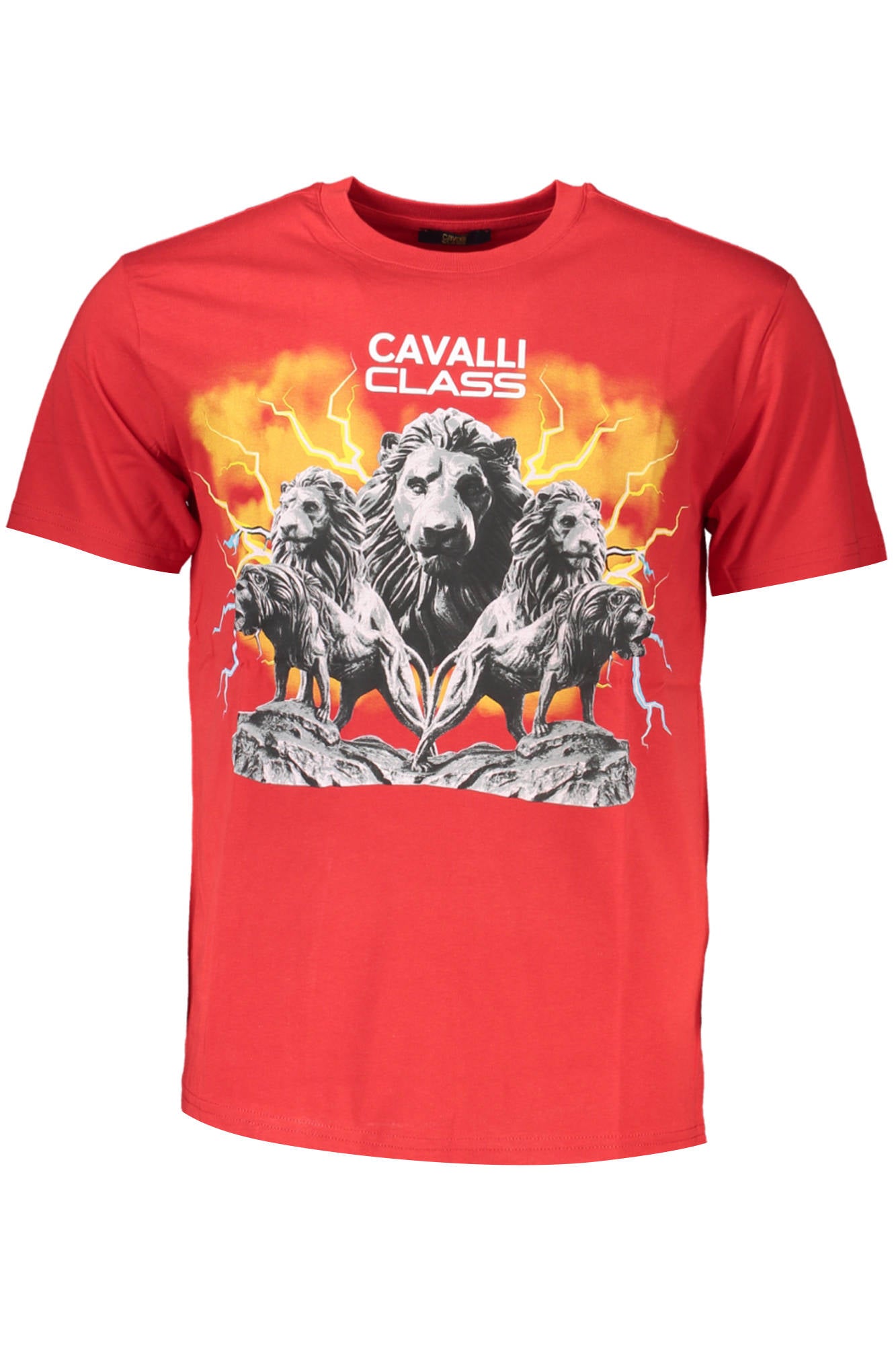 Cavalli Class Herren-T-Shirt mit kurzen Ärmeln